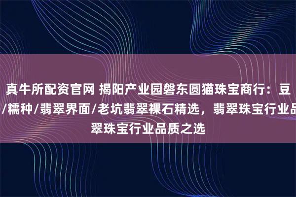 真牛所配资官网 揭阳产业园磐东圆猫珠宝商行：豆种/冰种/糯种/翡翠界面/老坑翡翠裸石精选，翡翠珠宝行业品质之选